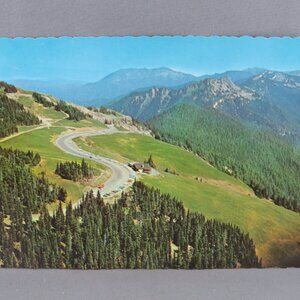 Vintage Postcard - Hurricane Ridge Olympic National Park - Dexter Press